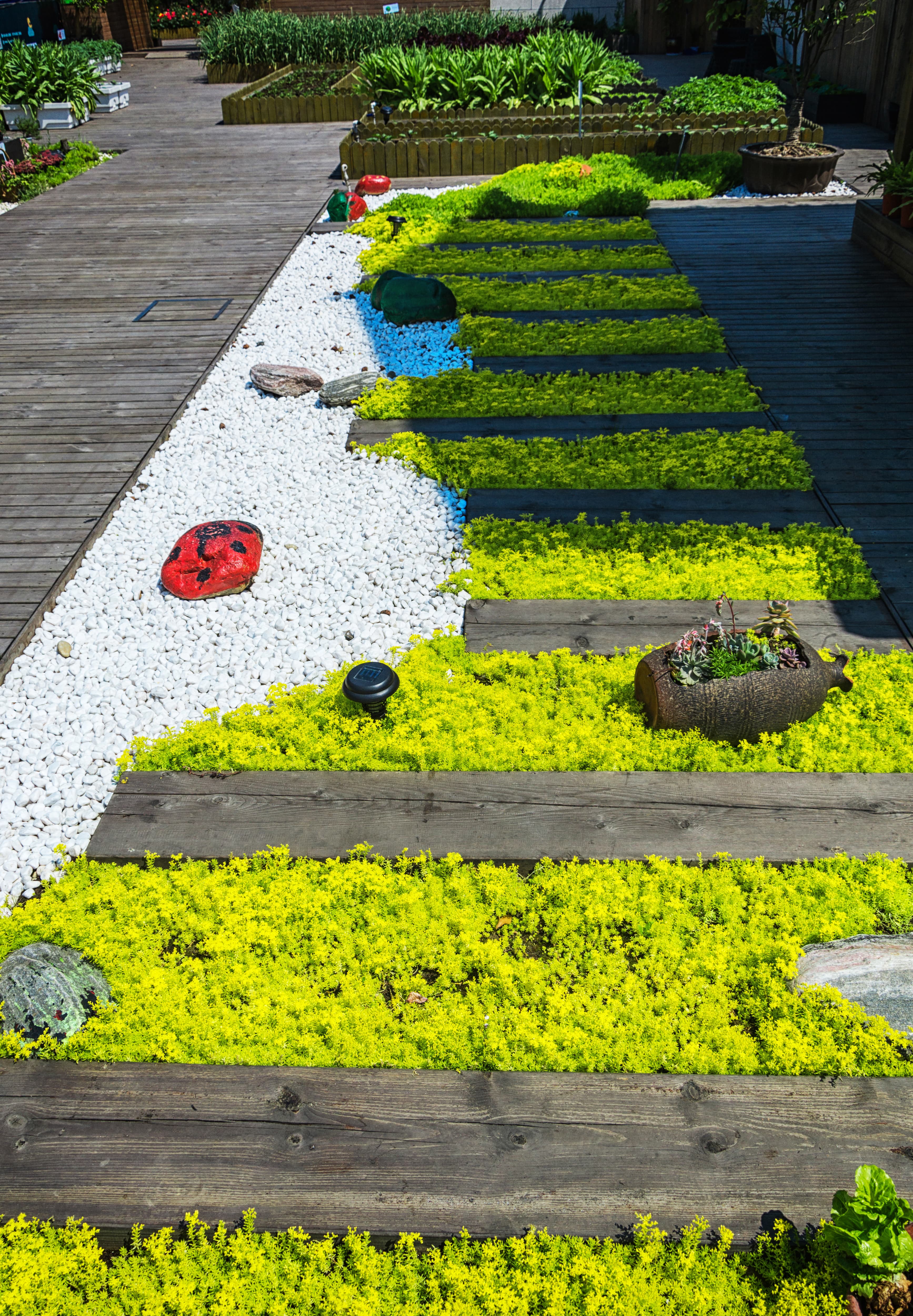 Mersin İklimine Uygun Peyzaj Bitkileri